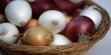 من ينبغي عليه الامتناع عن أكل البصل؟
