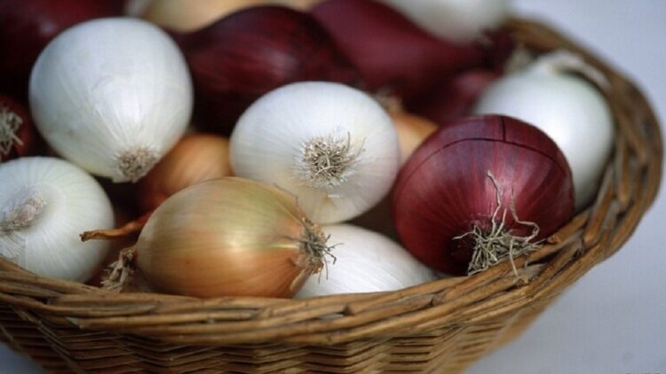 من ينبغي عليه الامتناع عن أكل البصل؟