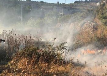 نشوب حريق طال محاصيل زراعية وأشجاراً مثمرة في ريف حمص