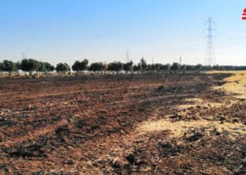 نشوب حريق في حقول قمح بريف درعا!