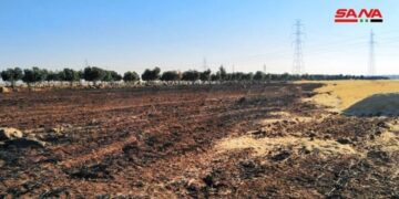 نشوب حريق في حقول قمح بريف درعا!