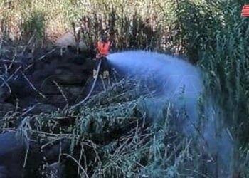 نشوب حريقين بوادي الأشعري في نوى بدرعا