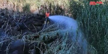 نشوب حريقين بوادي الأشعري في نوى بدرعا