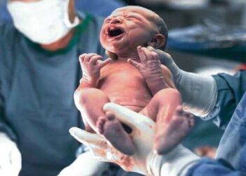 ولادة أول طفل بعد عملية زرع رحم …