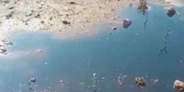 الفساد الإرهابي