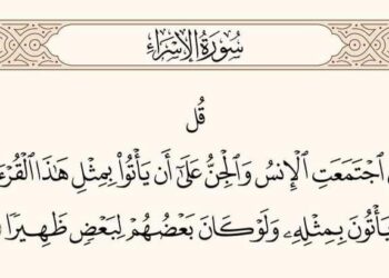 تتحمل السويد كافة تبعات حرق القرآن الكريم والدول الإسلامية مقصّرة